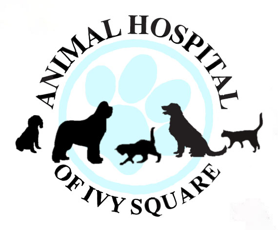 Animal Hospital of Ivy Square